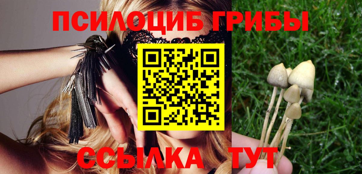 Галлюциногенные грибы GOLDEN TEACHER  закладка  Вход с VPN  Магадан  Псилоцибиновые грибы Cubensis 